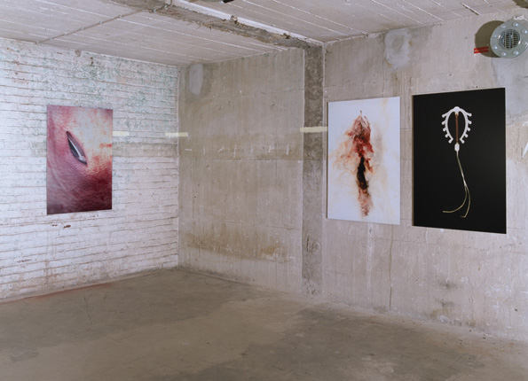 installation_view